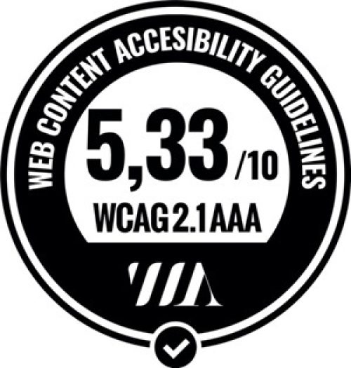 Web content accesibility